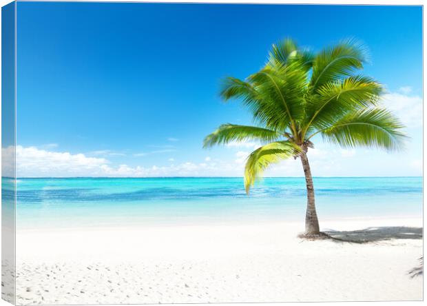 Outdoor ocean beach island beautiful view palm tropical Canvas Print by ANASS SODKI