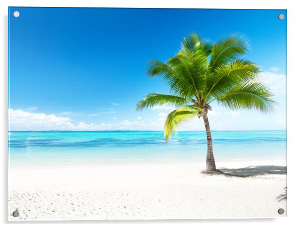 Outdoor ocean beach island beautiful view palm tropical Acrylic by ANASS SODKI