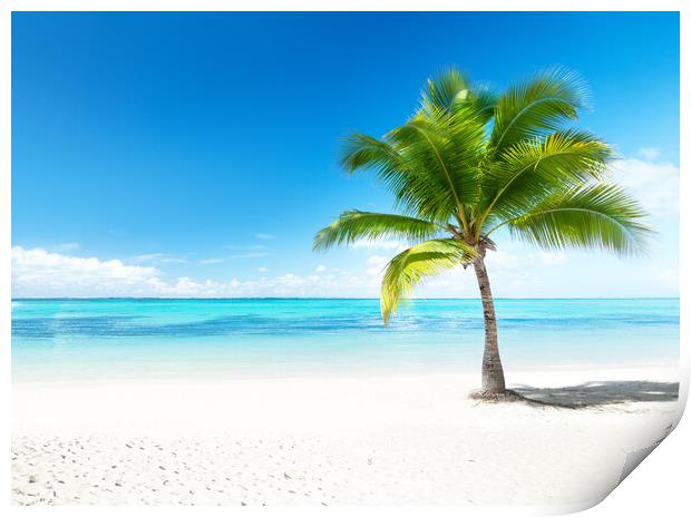 Outdoor ocean beach island beautiful view palm tropical Print by ANASS SODKI