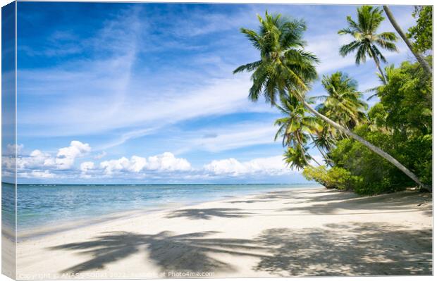 Outdoor ocean beach tropical island beautiful view summer Canvas Print by ANASS SODKI