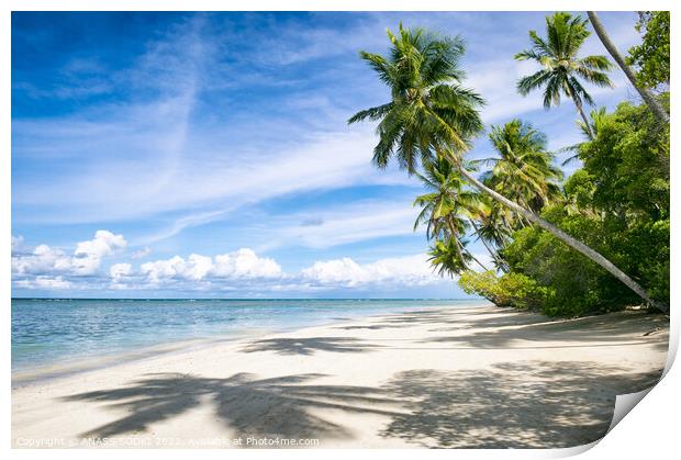 Outdoor ocean beach tropical island beautiful view summer Print by ANASS SODKI