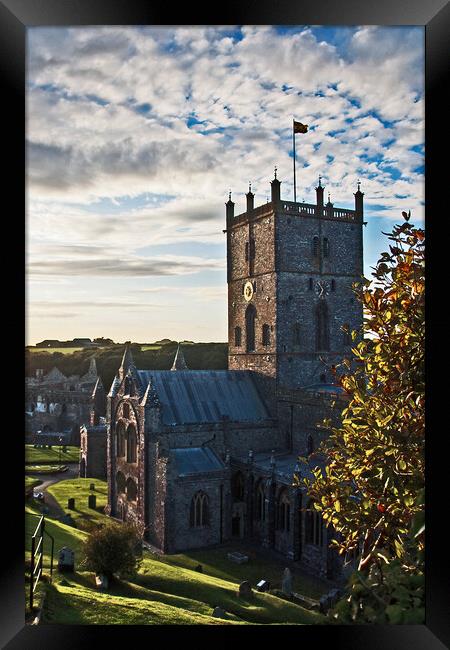 St David's Cathedral in September Framed Print by Joyce Storey