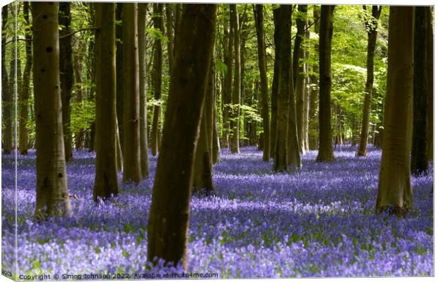 Bluebell Woodland Canvas Print by Simon Johnson