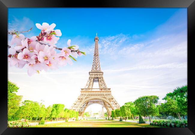 Paris Eiffel Tower over green grass lane and trees in Paris, France. Eiffel Tower is one of the most iconic landmarks of Paris at spring Framed Print by ANASS SODKI