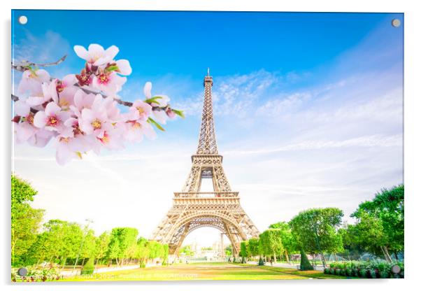 Paris Eiffel Tower over green grass lane and trees in Paris, France. Eiffel Tower is one of the most iconic landmarks of Paris at spring Acrylic by ANASS SODKI