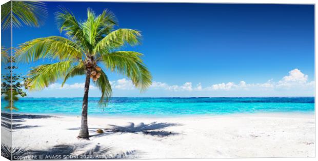 Scenic Coral Beach With Palm Tree beautiful View  Canvas Print by ANASS SODKI