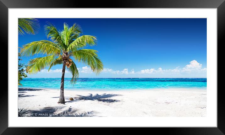 Scenic Coral Beach With Palm Tree beautiful View  Framed Mounted Print by ANASS SODKI