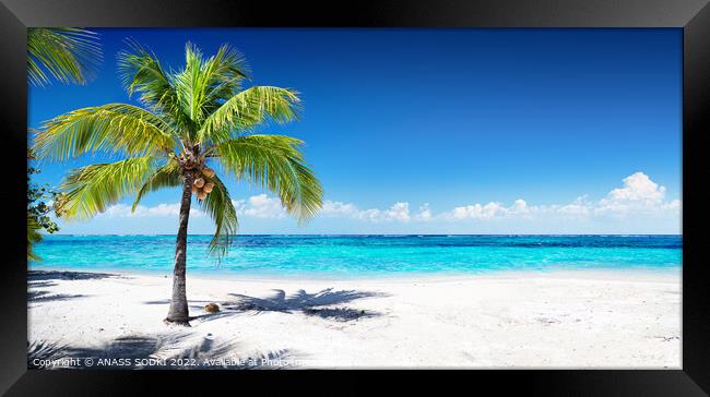 Scenic Coral Beach With Palm Tree beautiful View  Framed Print by ANASS SODKI