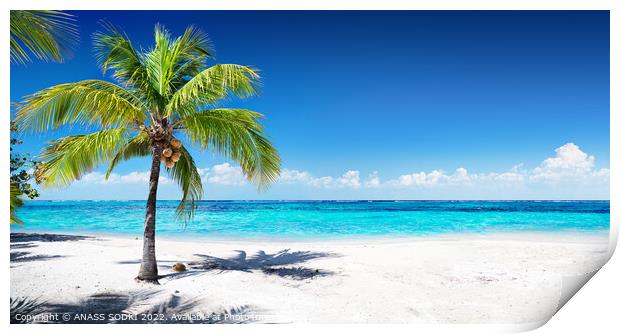 Scenic Coral Beach With Palm Tree beautiful View  Print by ANASS SODKI