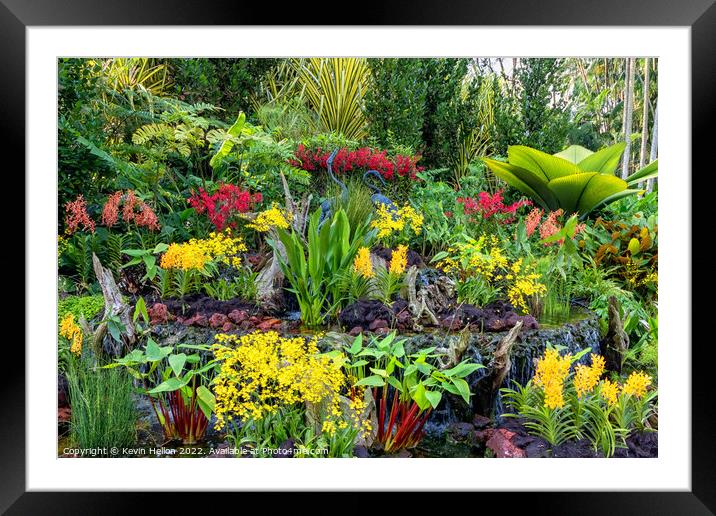 Orchid display, Botanical Gardens, Singapore Framed Mounted Print by Kevin Hellon