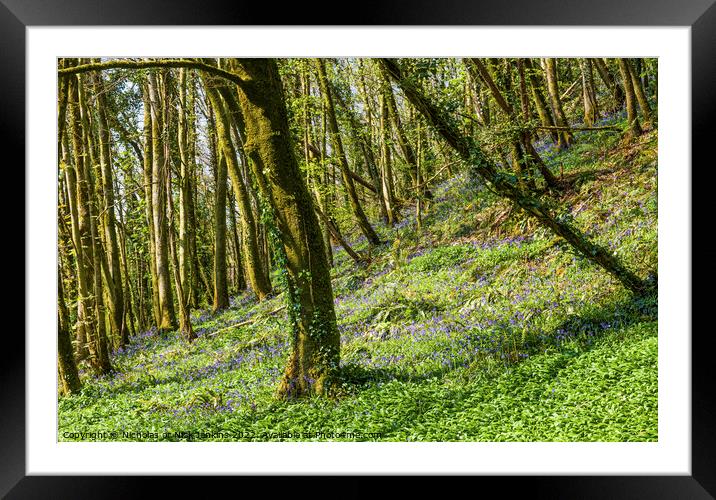 Ilston Woods behind Parkmill on Gower  Framed Mounted Print by Nick Jenkins