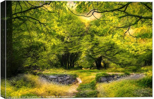 Woodland Path Canvas Print by Karl McCarthy