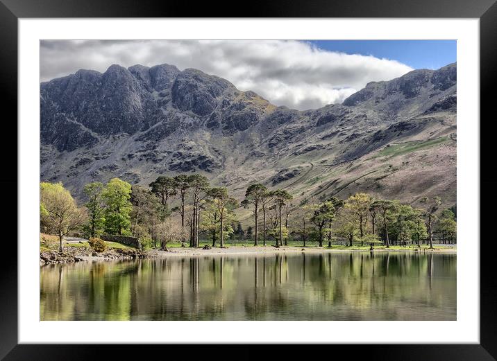 Buttermere Pines Framed Mounted Print by Roger Green
