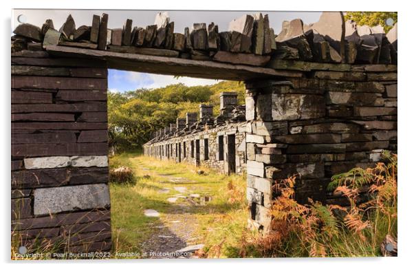 Dinorwig Slate Quarry Snowdonia Wales Acrylic by Pearl Bucknall