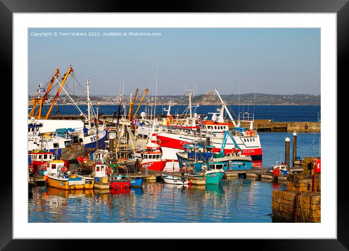 Newlyn Fishing Fleet Framed Mounted Print by Terri Waters