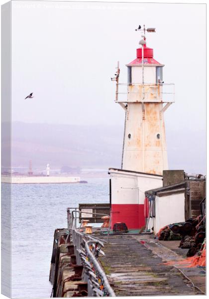 Newlyn Lighthouse Jubilee Pool and the War Memorial Penzance Canvas Print by Terri Waters