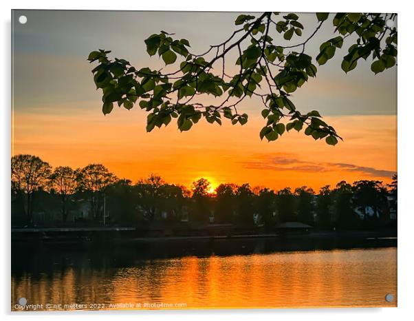 Roath park lake sunset Acrylic by nic 744