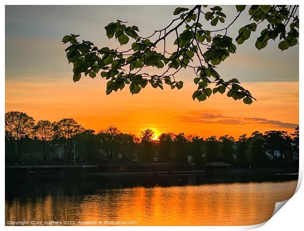 Roath park lake sunset Print by nic 744