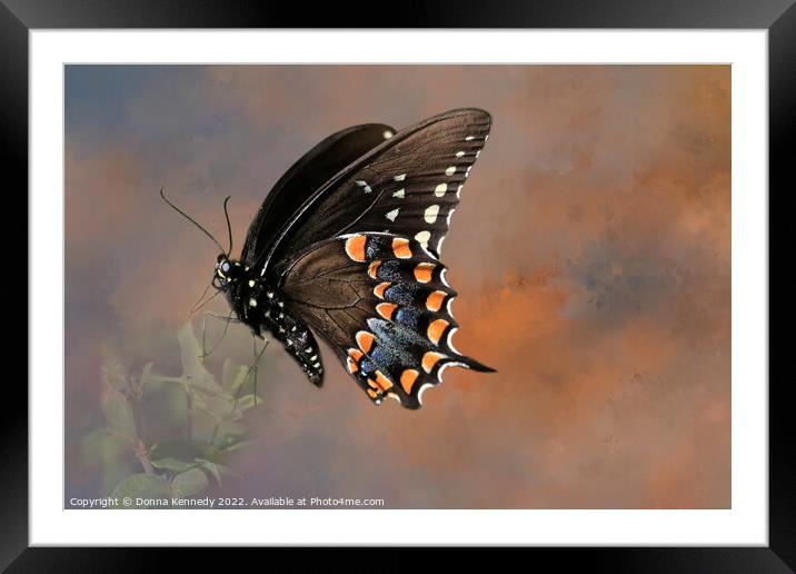 That Ole Black Magic Framed Mounted Print by Donna Kennedy