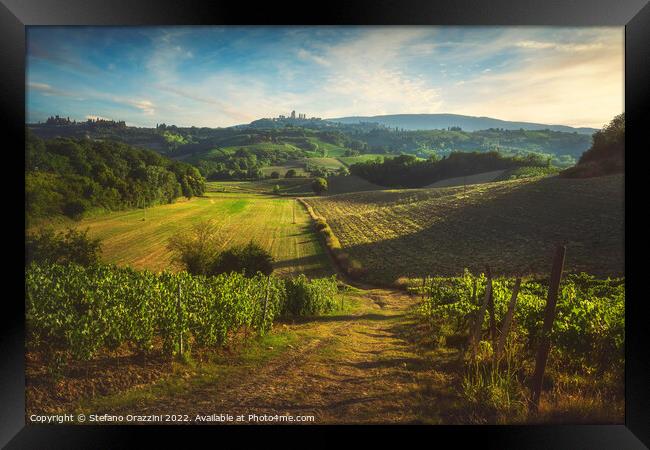Panoramic view of chianti and vernaccia vineyards. San Gimignano Framed Print by Stefano Orazzini