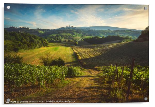 Panoramic view of chianti and vernaccia vineyards. San Gimignano Acrylic by Stefano Orazzini