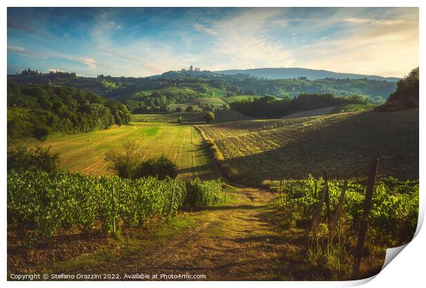 Panoramic view of chianti and vernaccia vineyards. San Gimignano Print by Stefano Orazzini
