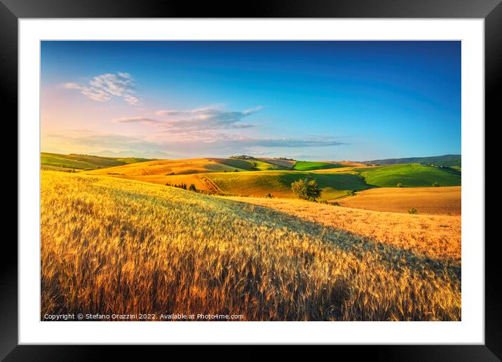 Tuscany countryside panorama, rolling hills and wheat fields Framed Mounted Print by Stefano Orazzini