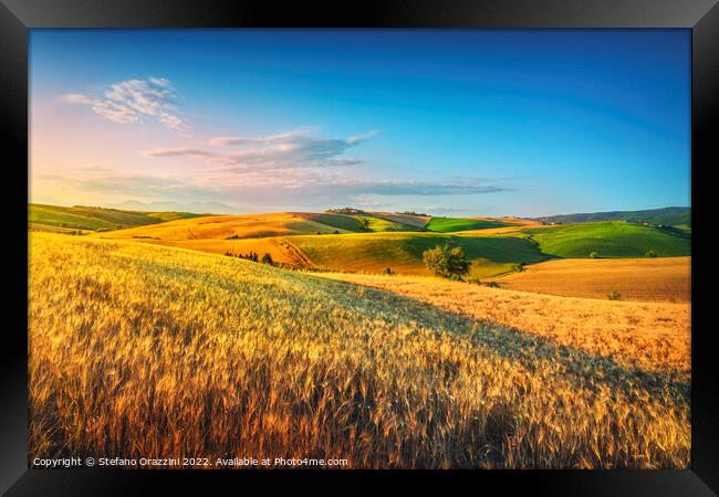 Tuscany countryside panorama, rolling hills and wheat fields Framed Print by Stefano Orazzini