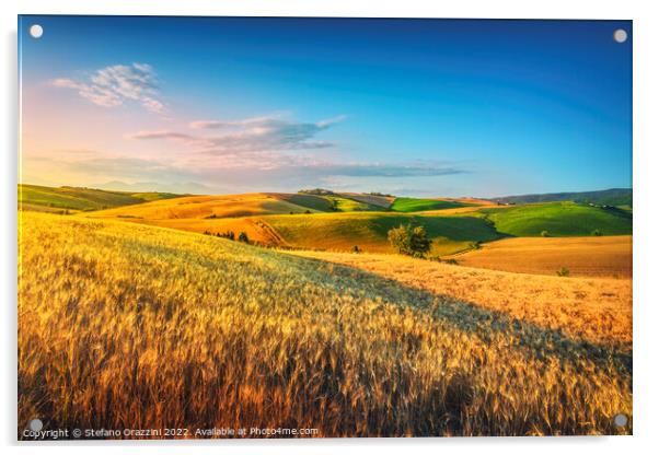 Tuscany countryside panorama, rolling hills and wheat fields Acrylic by Stefano Orazzini