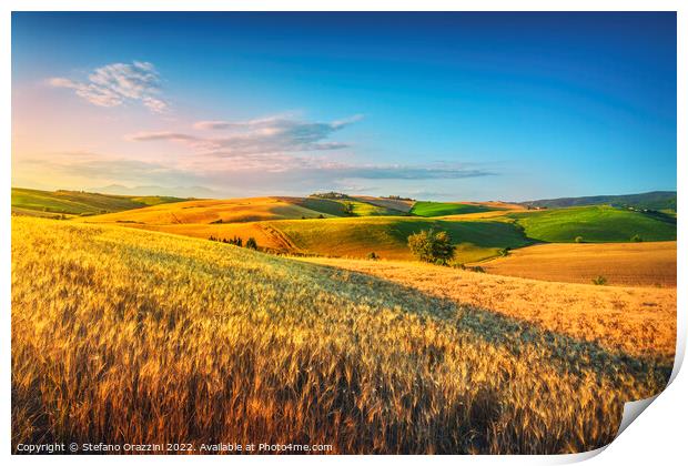 Tuscany countryside panorama, rolling hills and wheat fields Print by Stefano Orazzini
