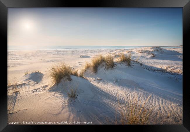 White sand beach and dunes. Rosignano, Tuscany, Italy Framed Print by Stefano Orazzini