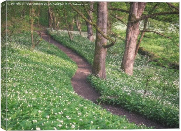 Wild Garlic Woods Canvas Print by Paul Andrews