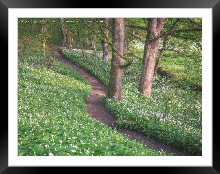 Wild Garlic Woods Framed Mounted Print by Paul Andrews