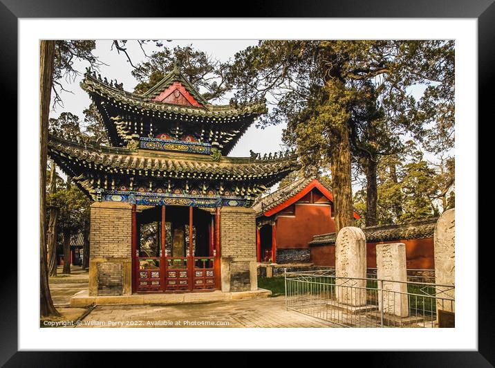 Pavilion Memorial Tablets Mencius Temple Zocheng Shandong China Framed Mounted Print by William Perry