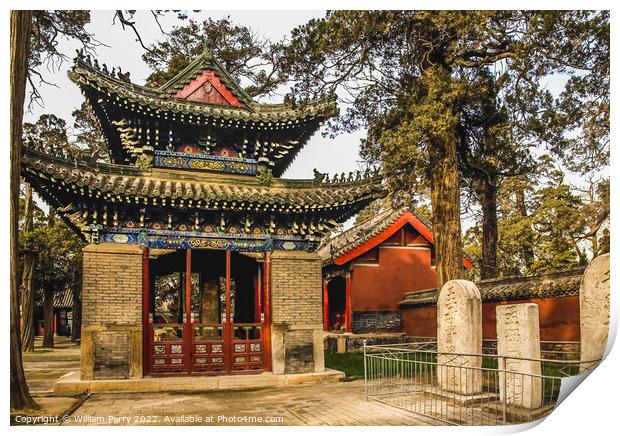 Pavilion Memorial Tablets Mencius Temple Zocheng Shandong China Print by William Perry
