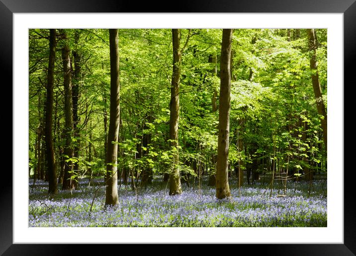 Plant tree Framed Mounted Print by Simon Johnson