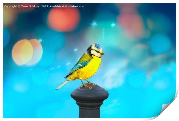 Blue Tit with Turquoise Bokeh Background Print by Taina Sohlman