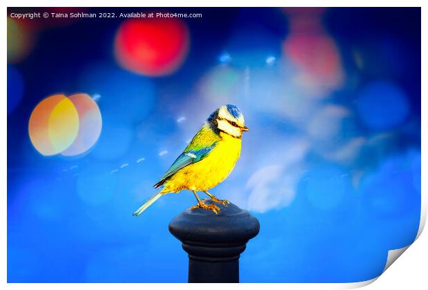 Blue Tit with Blue Bokeh Background Print by Taina Sohlman