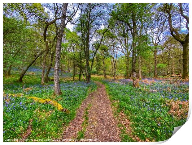 Inchcailloch bluebells, Loch Lomond Print by yvonne & paul carroll