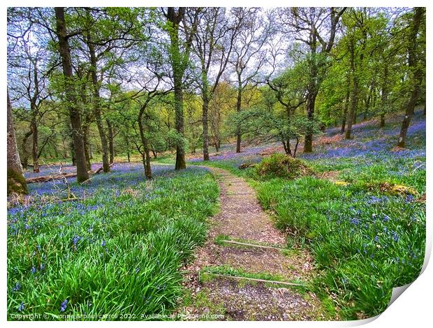 Inchcailloch bluebells, Loch Lomond Print by yvonne & paul carroll