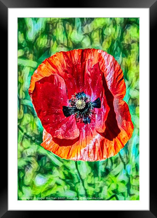Vivid Red Poppy Framed Mounted Print by Roger Mechan