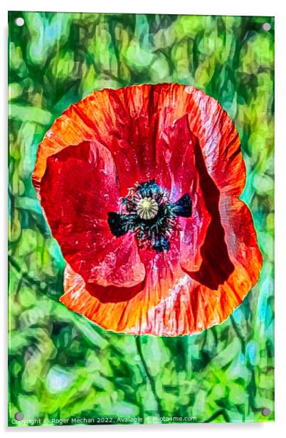 Vivid Red Poppy Acrylic by Roger Mechan