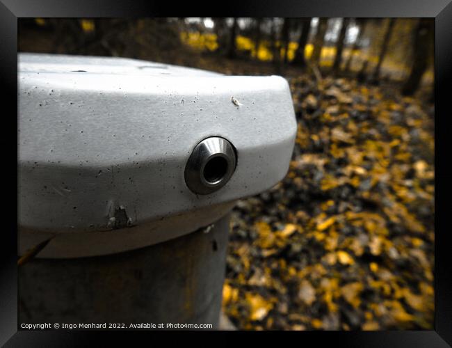 Modern fire hydrant in the middle of the forest Framed Print by Ingo Menhard