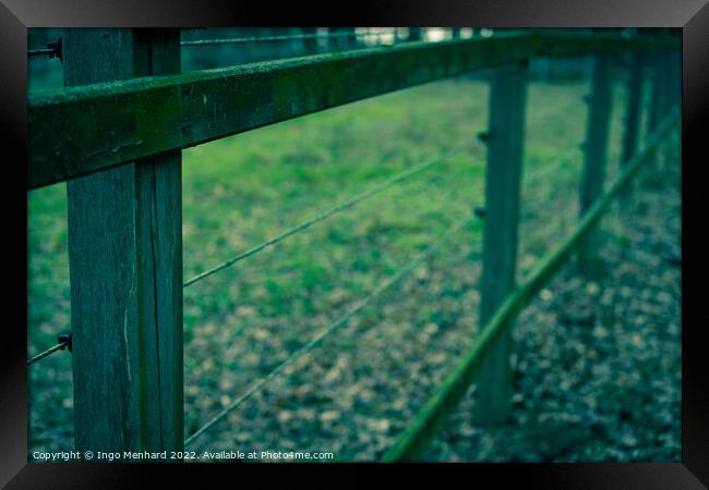 Low angle shot of an old wooden fence in a field at dawn in autumn Framed Print by Ingo Menhard