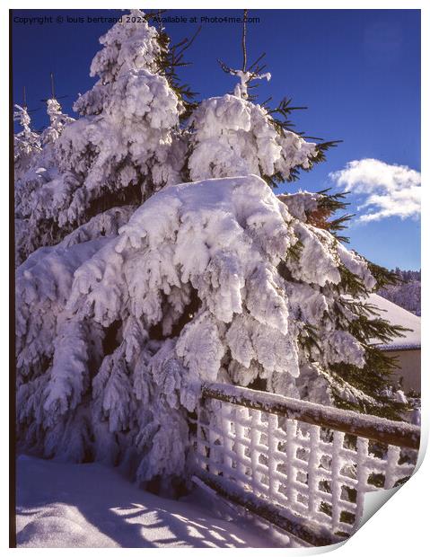 Outdoor mountain Print by louis bertrand