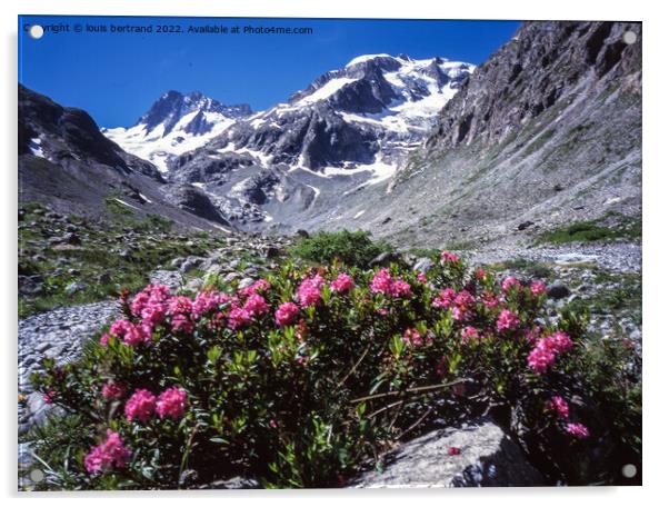 Outdoor mountain Acrylic by louis bertrand