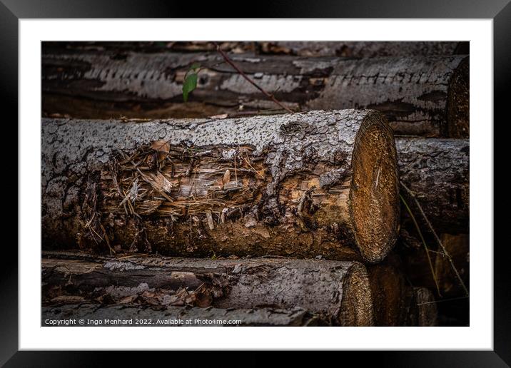 Shallow focus shot of a log in an autumnal forest Framed Mounted Print by Ingo Menhard