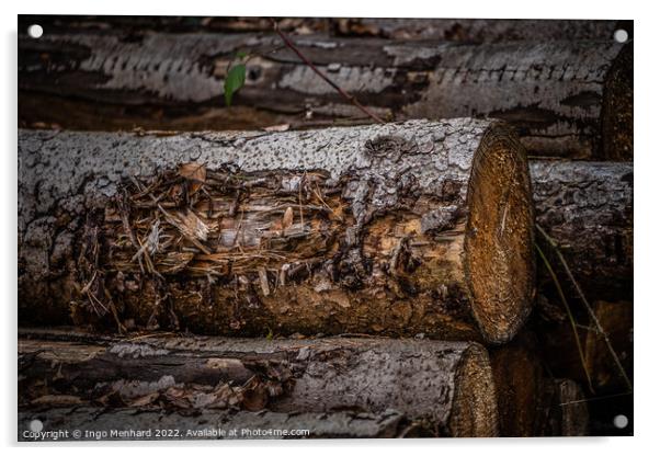 Shallow focus shot of a log in an autumnal forest Acrylic by Ingo Menhard