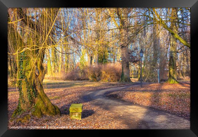 Path in the park surrounded by fallen leaves in autumn Framed Print by Ingo Menhard