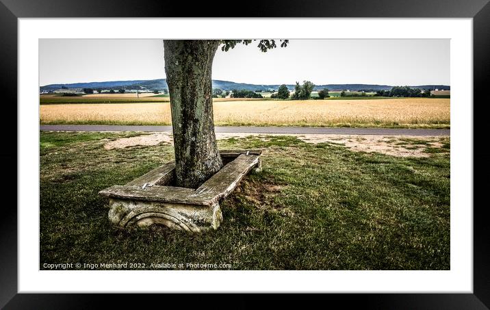 Closeup shot of a trunk of an old tree next to a narrow street and golden wheat field Framed Mounted Print by Ingo Menhard